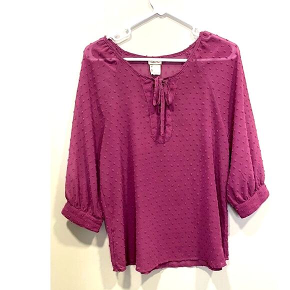 Matilda Jane Serendipity  Blouse Womens XS Mauve Swiss Dot Sheer Peasant Top - Picture 1 of 7